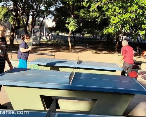 25307 6 PING PONG-Tenis de mesa