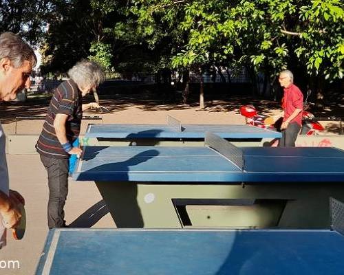 25307 8 PING PONG-Tenis de mesa