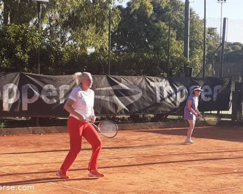 25323 2 TENIS del Domingo rodeado de verde