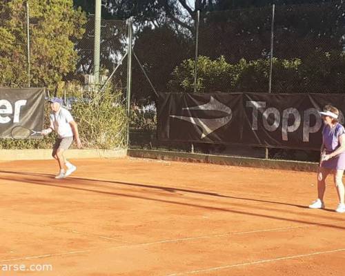 25323 3 TENIS del Domingo rodeado de verde