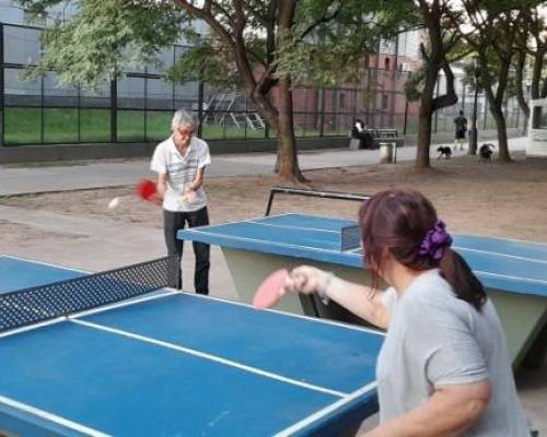 25399 10 PING PONG-Tenis de mesa