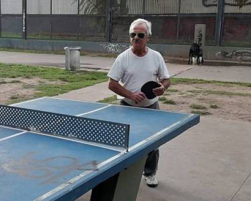 25399 11 PING PONG-Tenis de mesa