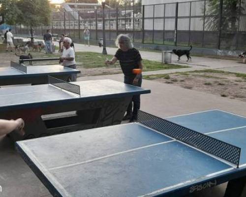 25399 12 PING PONG-Tenis de mesa