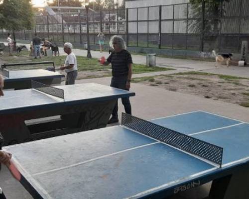 25399 14 PING PONG-Tenis de mesa