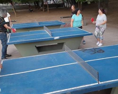 25399 16 PING PONG-Tenis de mesa