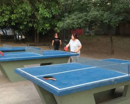 25399 2 PING PONG-Tenis de mesa