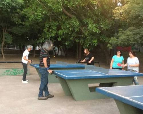 25399 3 PING PONG-Tenis de mesa