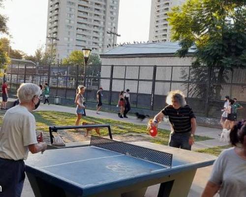 25399 8 PING PONG-Tenis de mesa