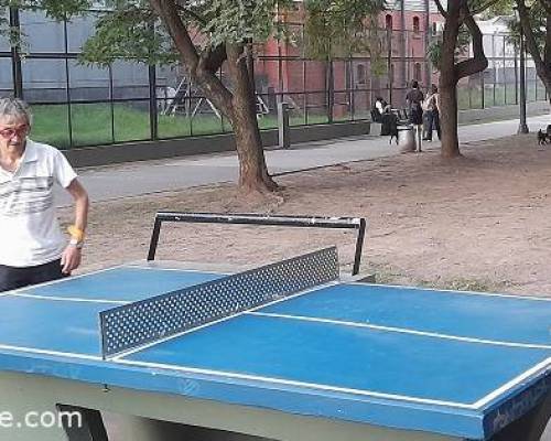 25399 9 PING PONG-Tenis de mesa