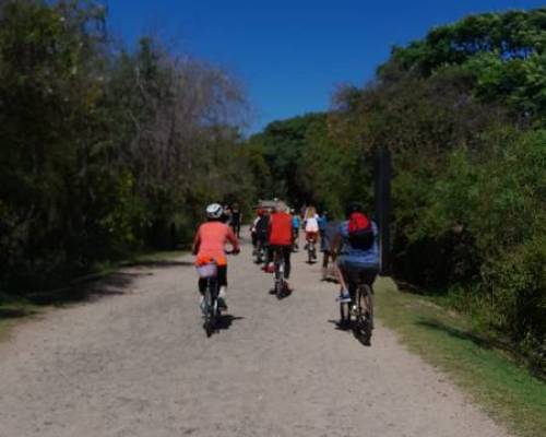 25453 2 Pedaleando en carnaval