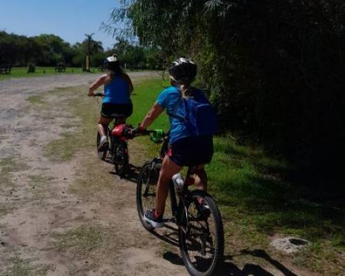 25453 3 Pedaleando en carnaval