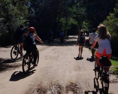 25453 4 Pedaleando en carnaval