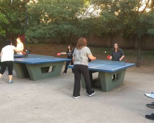 25478 3 PING PONG-Tenis de mesa