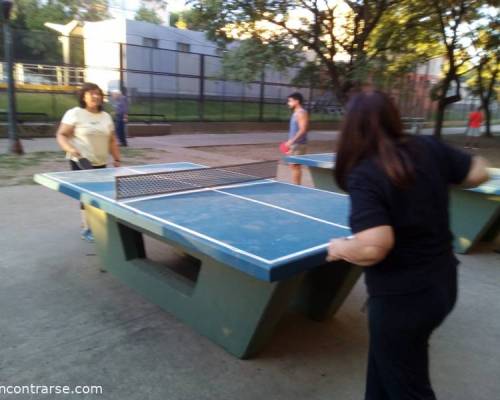 25478 5 PING PONG-Tenis de mesa