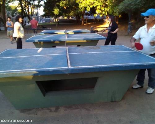 25478 6 PING PONG-Tenis de mesa