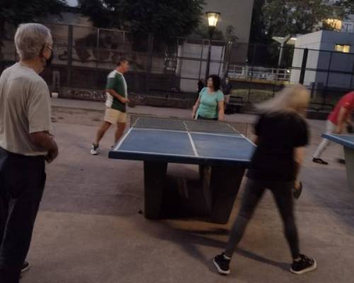 25533 4 PING PONG-Tenis de mesa