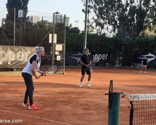 25563 1 TENIS del Domingo rodeado de verde 