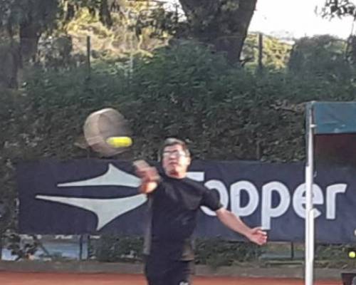 25563 3 TENIS del Domingo rodeado de verde 