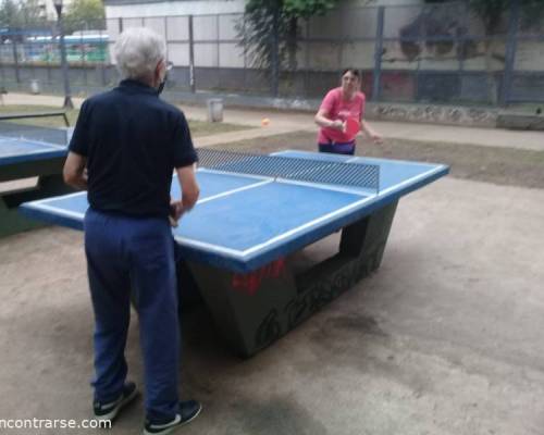 25566 4 PING PONG-Tenis de mesa