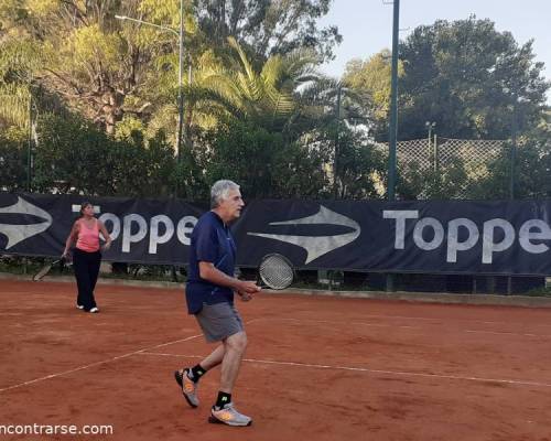 25608 3 TENIS del Domingo rodeado de verde 