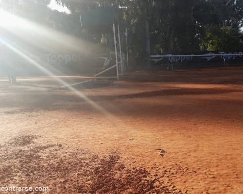 25608 8 TENIS del Domingo rodeado de verde 