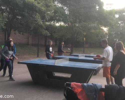 25743 3 PING PONG-Tenis de mesa