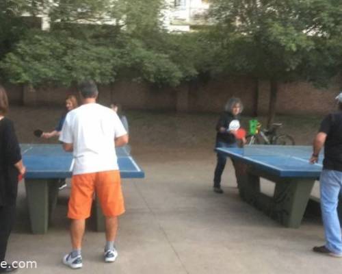 25743 4 PING PONG-Tenis de mesa