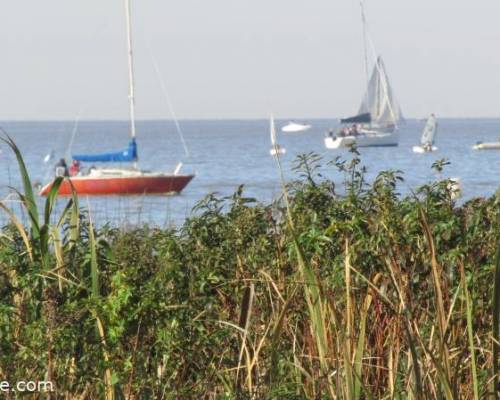 25752 8 JORNADA VIVENCIAL EN LA RESERVA COSTANERA NORTE 