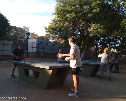 25834 1 PING PONG-Tenis de mesa