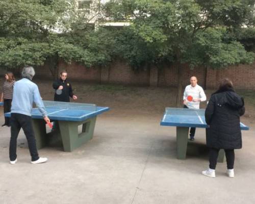 25930 12 PING PONG-Tenis de mesa