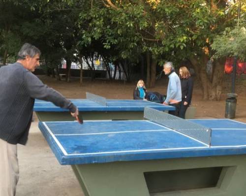 25930 5 PING PONG-Tenis de mesa