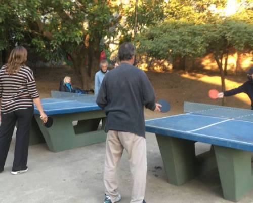 25930 6 PING PONG-Tenis de mesa