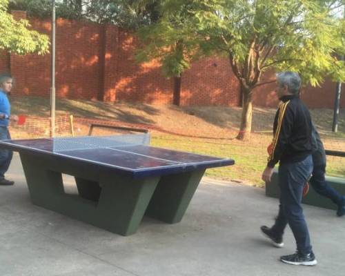 26244 3 PING PONG-Tenis de mesa