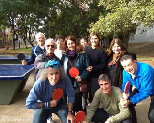 26280 7 PING PONG-Tenis de mesa