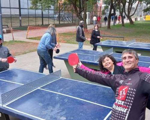 26340 2 PING PONG-Tenis de mesa