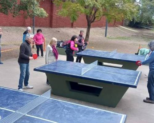 26340 3 PING PONG-Tenis de mesa