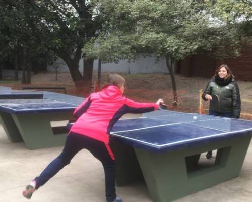 26351 1 PING PONG-Tenis de mesa