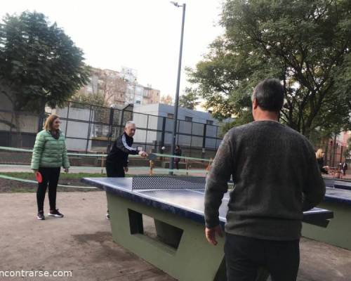 26428 10 PING PONG-Tenis de mesa