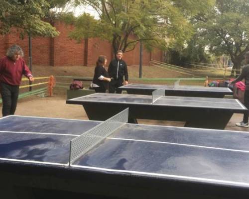 26428 3 PING PONG-Tenis de mesa