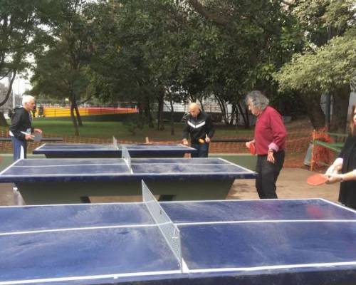 26428 4 PING PONG-Tenis de mesa