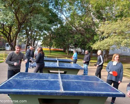 26539 7 PING PONG-Tenis de mesa