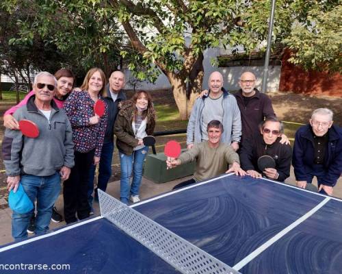 26594 3 PING PONG-Tenis de mesa