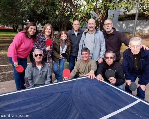 26594 4 PING PONG-Tenis de mesa