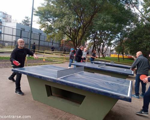 26594 6 PING PONG-Tenis de mesa