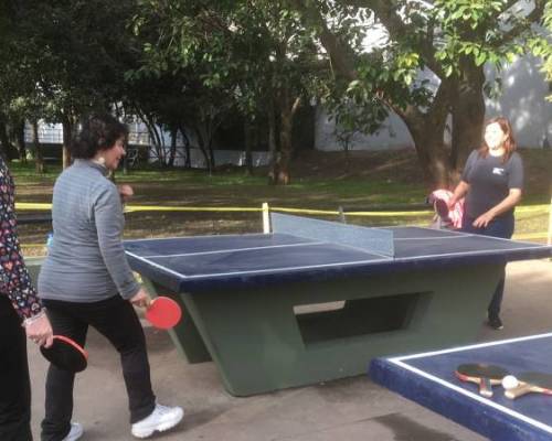 26594 7 PING PONG-Tenis de mesa