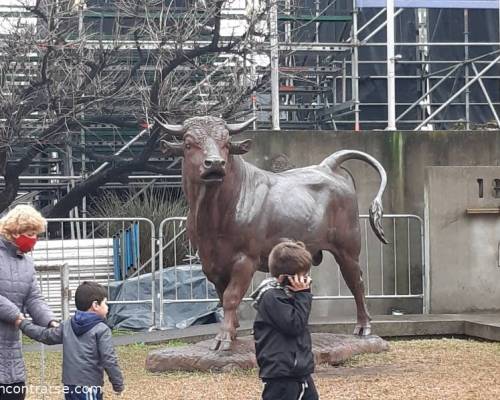 26673 13 EL CAMPO A LA CIUDAD