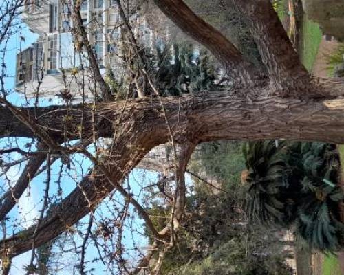 26727 10 JARDÍN BOTÁNICO VISITA GUIADA