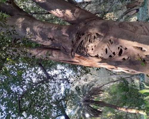 26727 14 JARDÍN BOTÁNICO VISITA GUIADA