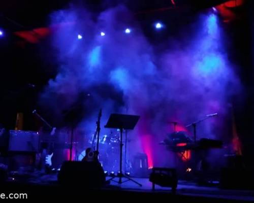 26837 5 PULSE TRIBUTO A PINK FLOYD