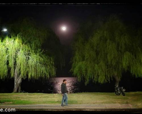 26845 33 CONTEMPLANDO JUNTOS:  Luna Llena sobre el Río